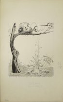 'Junior!  How many times must I tell you!  Flap your wings!  Come back up here and try again!'